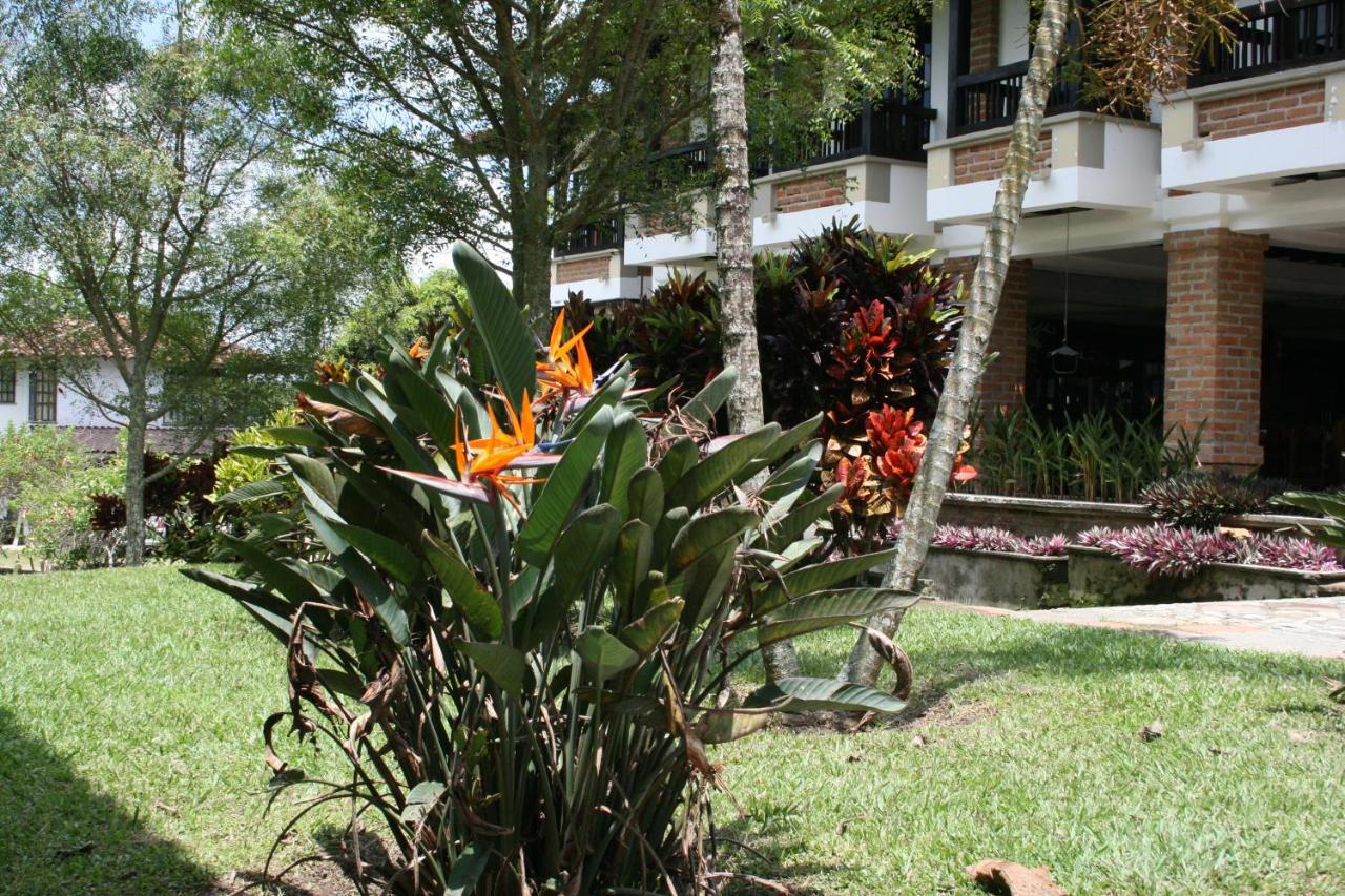 Finca Hotel La Esperanza モンテネグロ エクステリア 写真